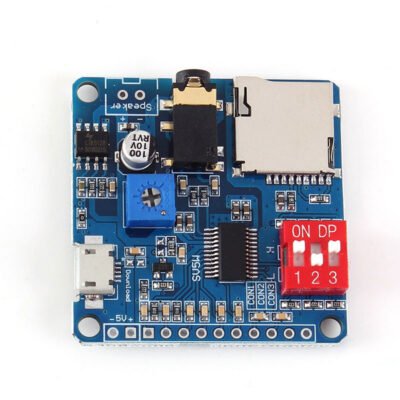 DY-SV 5W MP3 Player Audio Playback Module