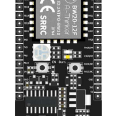 Ai-Thinker BW20-12F-Kit